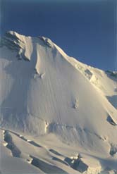 Trafoier Eiswand (Ortler Gruppe)